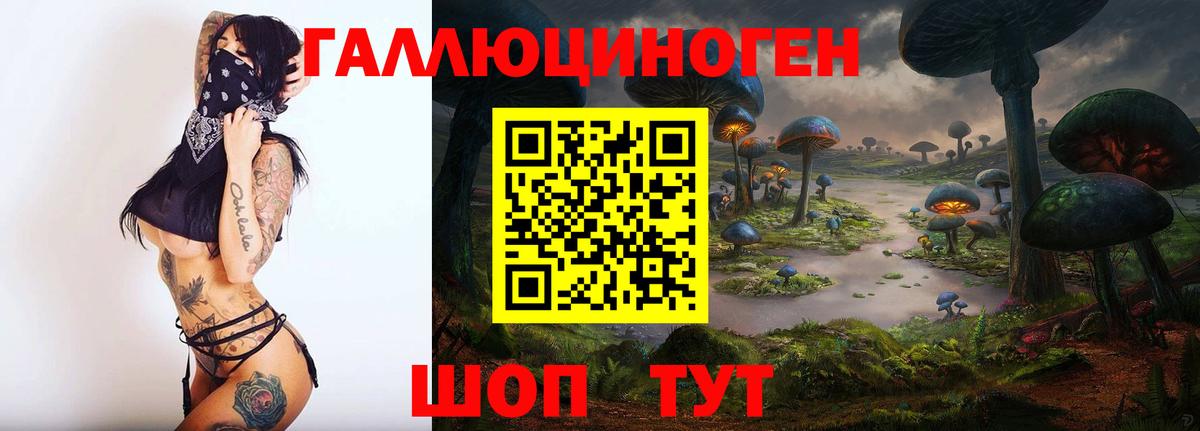 Галлюциногенные грибы Psilocybine cubensis  купить наркотик  Вход с VPN  Пугачёв  Псилоцибиновые грибы мицелий 