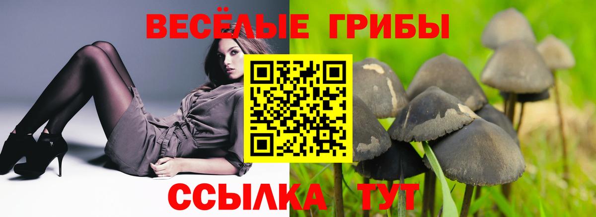 Галлюциногенные грибы GOLDEN TEACHER Пугачёв